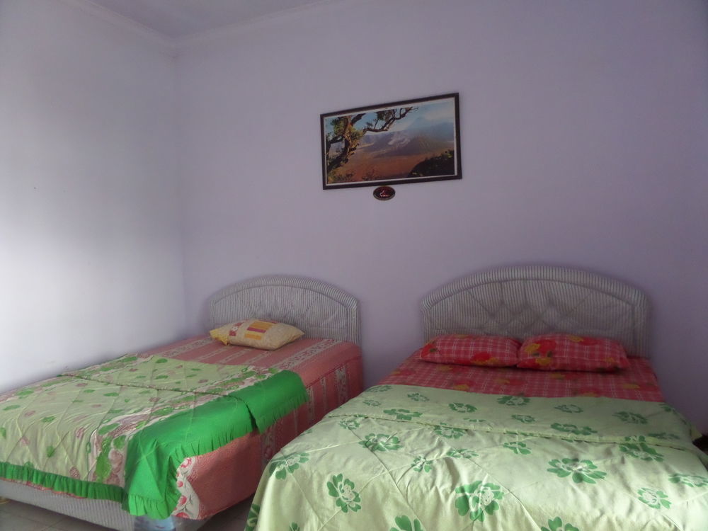 Hotel Nadia Бромо Екстер'єр фото