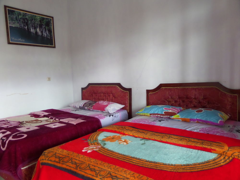Hotel Nadia Бромо Екстер'єр фото